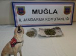 Narkotik Köpeği Ezel'den Uyuşturucuya Geçit Yok
