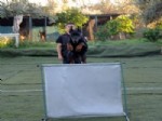 SALDıRGANLıK - Doberman Cinsi Köpek Şampiyonaya Hazırlanıyor