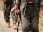 CEMIL ÖZTÜRK - PKK'ya büyük darbe!