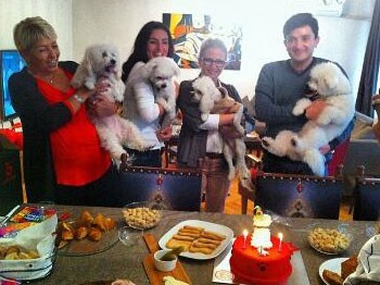 Ece Uslu'dan köpeğine müthiş doğum günü partisi