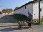 YAŞAM ŞARTLARI - Balıkesir'in Mahalle Olacak En Büyük Köyü Büyükşehire Hazır