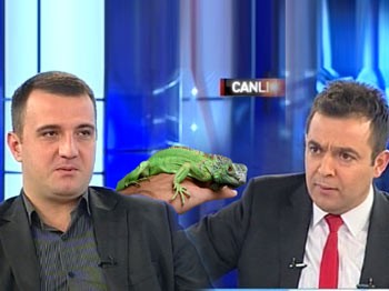Kocamın İguanayla İlişkisi Var Boşanmak İstiyorum