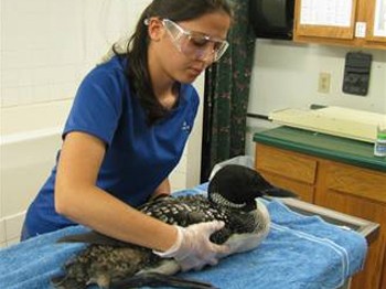 O Türkiye'de bir ilk