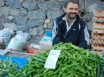 BAHTıLLı - Biber, Üreticisini Güldürdü