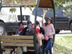 ÇADIR KENT - İllegal Yollarla Türkiye’ye Gelen Suriyeliler Ortada Kaldı