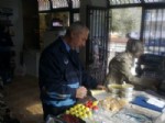 Soma'da Ekmek Satışı Yapılan İşyerlerine Denetim