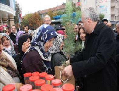 Çankırıda 100 Bin Fidan Dağıtıldı