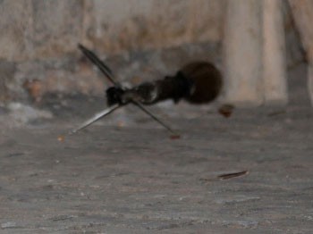 Ceylanpınar İlçesinde Patlamamış Roket Mermisi Bulundu