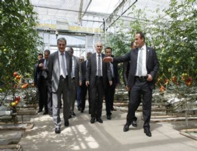 Ak Parti İzmir Milletvekili Aydın Şengül: