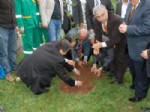 OSMAN BAYDEMIR - Baydemir Sümerpark’ta ‘Barış ve Sevgi Fidanları’ Dikti
