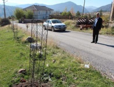 Gencek'te 2 Bin 500 Fidan Toprakla Buluşturuldu