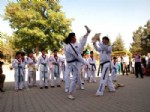 Taekwondocu Gülaçtı, Türkiye  Taekwondo Poomse Şampiyonasında Hakemlik Yaptı