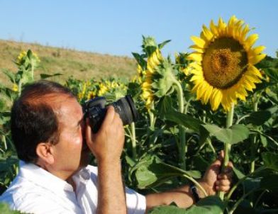 ‘Ayçiçeği Atölyesi’ Sergiye Hazırlanıyor