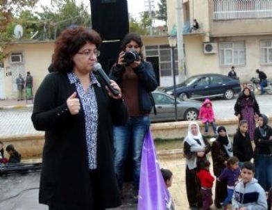 BDP Milletvekili Ayna, Nusaybin'de