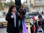 EMINE AYNA - BDP Milletvekili Ayna, Nusaybin'de