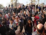 Bursa'da Ücretsiz Sınav İzdihamı