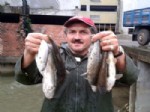 Rize’de Toplu Balık Ölümleri Haberi