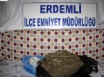 Erdemli'de 3,5 Kilo Esrar Ele Geçirildi