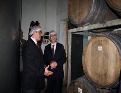 Vali Taşkesen’den ‘aile Şirketi’ Önerisi