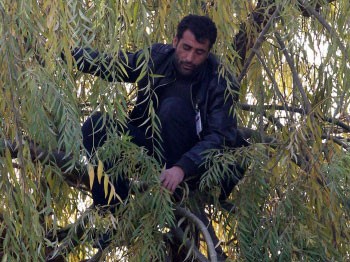 Bakkal borcu ağaca çıkarttı