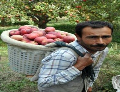 Elmaya İlk Talep Kuzey İrak ve Ukrayna’dan