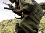 Özgür Suriye Ordusu'ndan PKK'ya ağır darbe!
