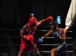 ALI EREN - Türkiye Büyükler Ferdi Boks Şampiyonası Yarı Final Maçları Yapıldı