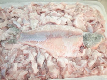 Türkiye’de ilk ve tek: Sazan balığından tatlı