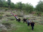 ULUPıNAR - Doğaseverler Tarihi Likya Yolu’nda Yürüdüler