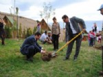 ORHAN ÖZCÜ - Gürsu’da Çam Fidanları Toprakla Buluştu