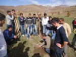 Hakkari’de 500 Dekar Alana Ceviz Tohumu Ekimine Başlandı