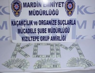 Mardin'de Sahte Dolar Ele Geçirildi
