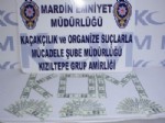 TCK - Mardin'de Sahte Dolar Ele Geçirildi