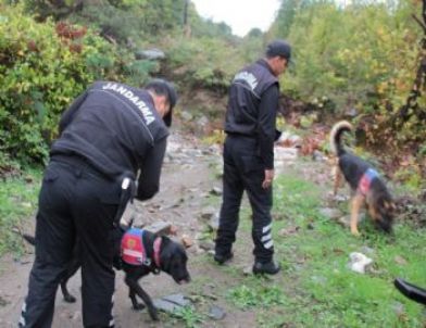 Bursa'da Arazide Köpekli Timle Patlayıcı Aradılar