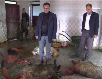 Belediye İşçilerinden Obama'ya 11 Kurban