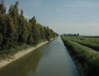 Aydın’da 257 Milyon Tl’ye Mal Olan 4 Adet Tesis 12 Aralık Çarşamba Günü Açılıyor