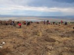 ULUABAT GÖLÜ - Dağcılar Fırtınada Fidan Dikti