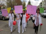 Hemşire Adayları Meme Kanserine Dikkat Çekmek İçin Pankartlı Yürüyüş Yaptı