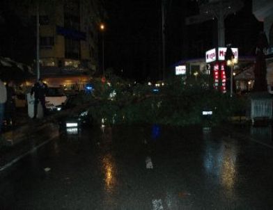 İzmir Şiddetli Yağış: Yollar Çöktü, Ağaçlar Devrildi