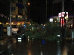 Yağmur ve Fırtına Otomobilin Üstüne Ağaç Devirdi