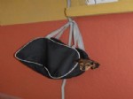 KÖPEK YAVRUSU - Duvara Asılı Çantadaki Köpek İlgi Odağı Oldu
