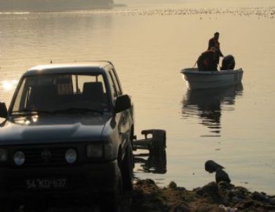 Göçmen Kuşlar Katledilmemiş