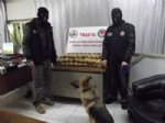 Narkotik Köpekleri Levıes ve Zeyna Uyuşturucu Tacirlerine Göz Açtırmadı