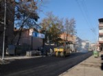 ERDAL YAĞLICI - Belediye Asfalt Serimini Sürdürüyor