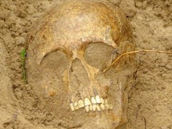 İnşaat alanında 49 kafatası bulundu