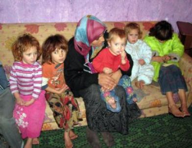 Kuma Baskısından Kaçtı, Yaşam Mücadelesi Veriyor