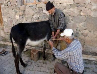 Nalbantlar Çıraksız Kaldı