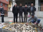 SEYYAR SATICILAR - Murat Balığı Tezgahtaki Yerini Aldı