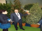 Türkyılmaz, 'Flower Show Türkiye’de'