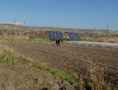 Beypazarı'nda Tarlalar Güneş Enerjisi İle Sulanıyor